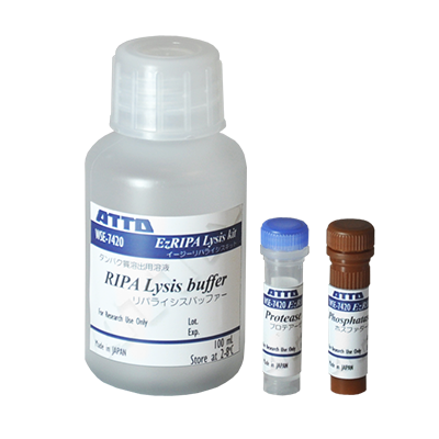 WSE-7420 EzRIPA Lysis kit