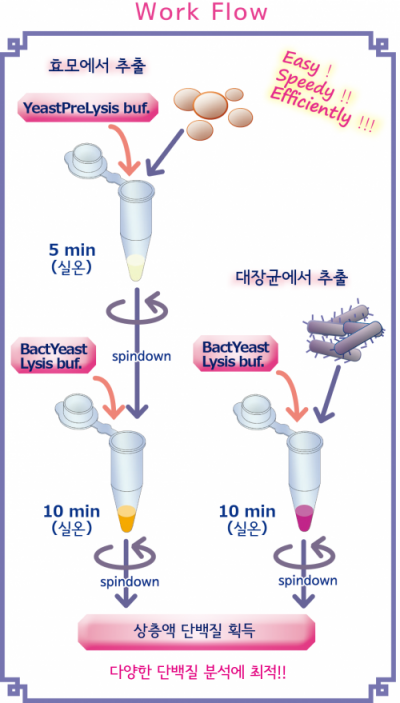 EzBactYeast Crusher_work flow