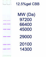 1440 EzStandard_medium