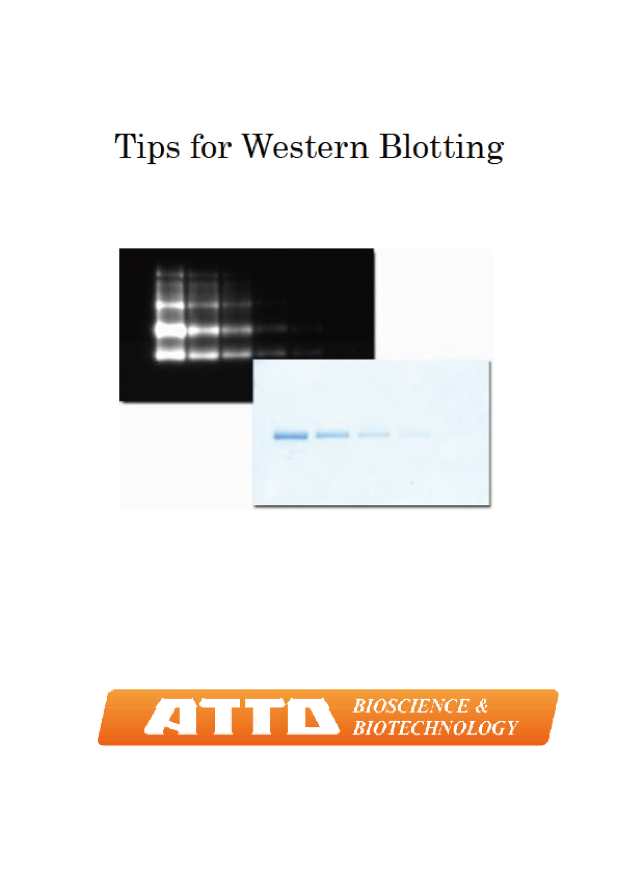 Technical Info – ATTO KOREA