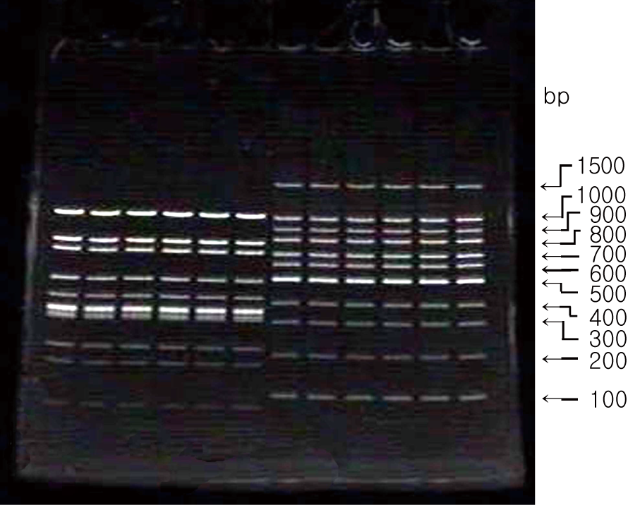c-PAGEL dna-page data
