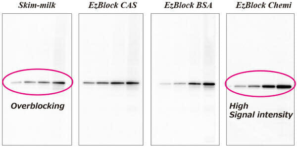 blocking efficiency according to blocking solutions