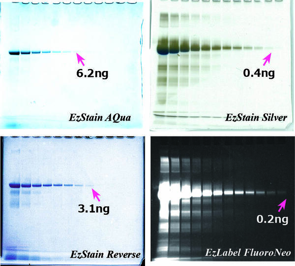 staining method comparison