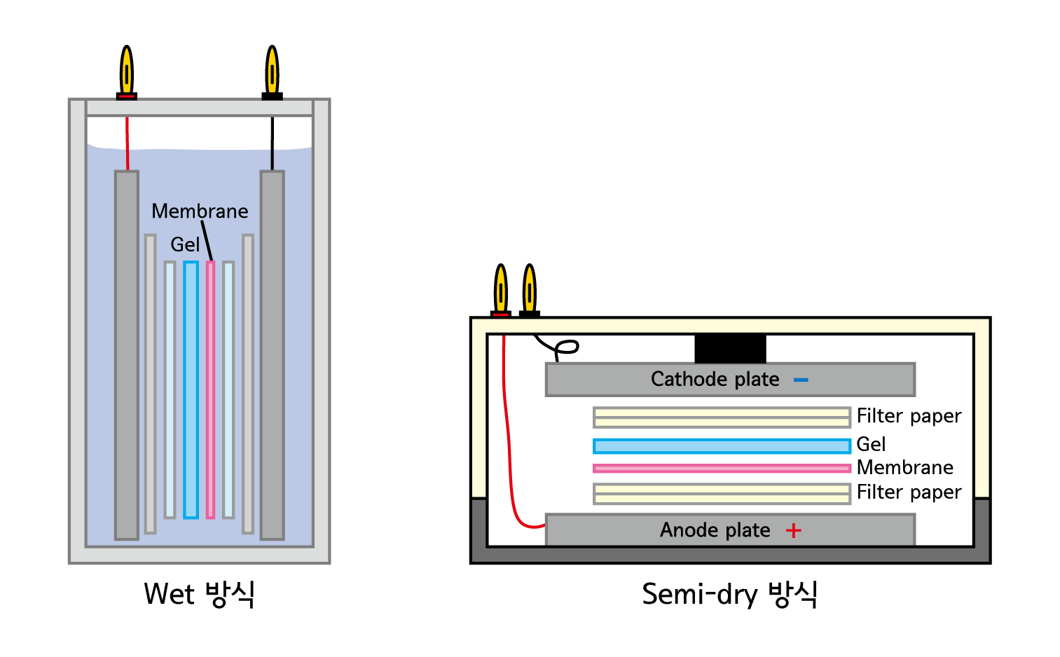 comparison of wet transfer and semi-dry transfer