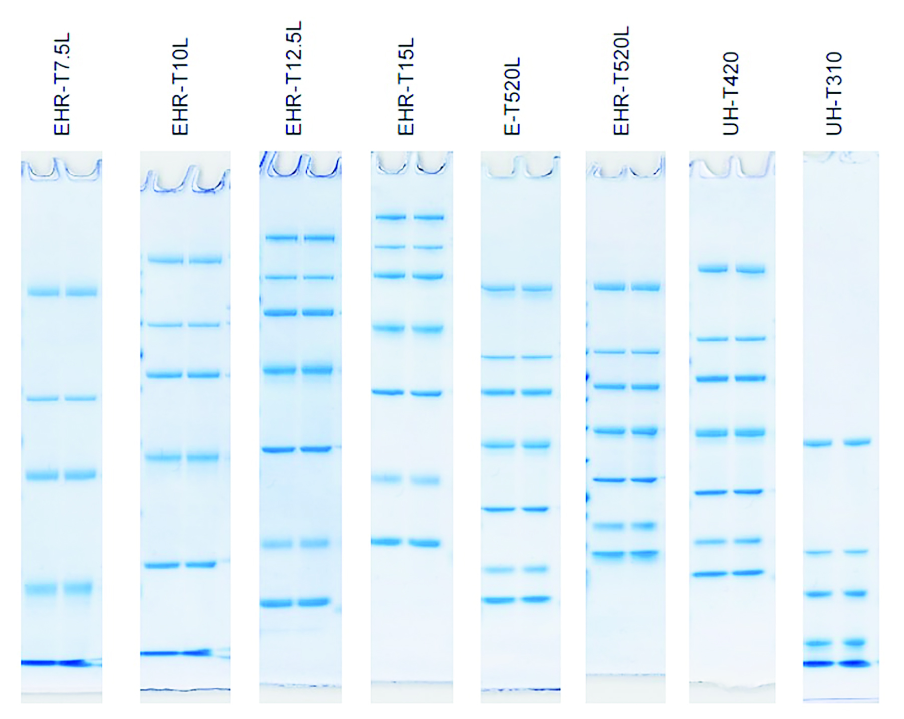 EzStandard_II EzStandard HMW data